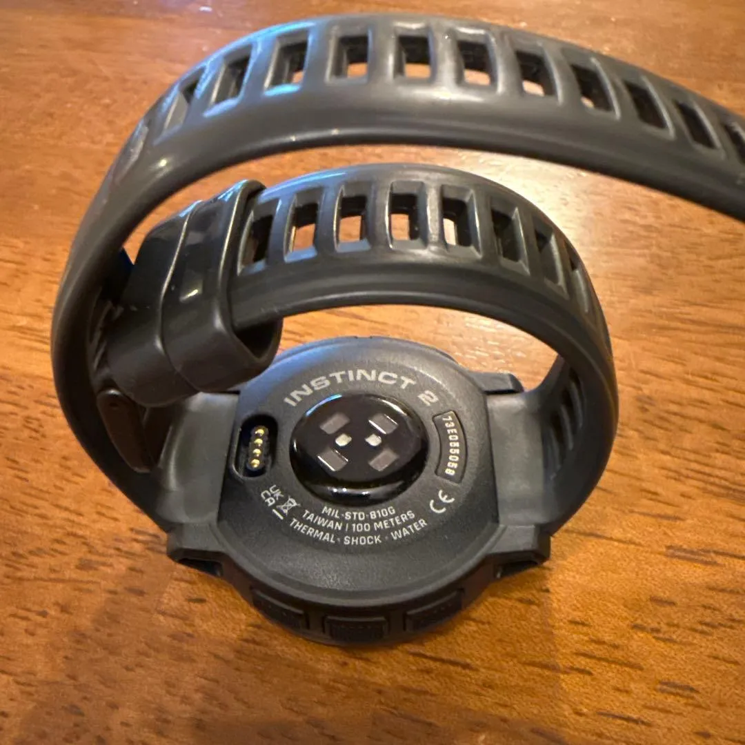 Sức mạnh kép của garmin instinct 2 - Ảnh 3