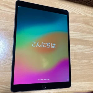 Apple ipad pro 10,5 inch 256gb di động