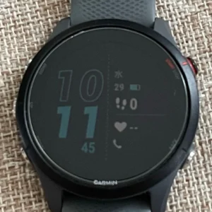Garmin tiền thân 255 - Ảnh 2