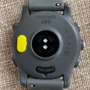 Garmin tiền thân 255 - Ảnh 3