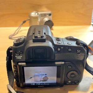 Máy ảnh: sony α350 ống kính: minolta af24-85 - Ảnh 7